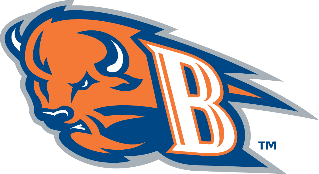 Bucknell Bison 2002-Pres Alternate Logo diy fabric transfer